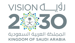 vision2030 logo naylam